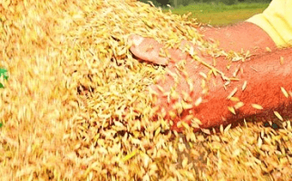 Entra para a etapa de limpeza, promovendo a separação de impurezas.